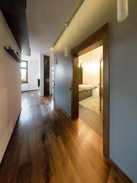 Apartment St1 Cieszyn (Silesia)